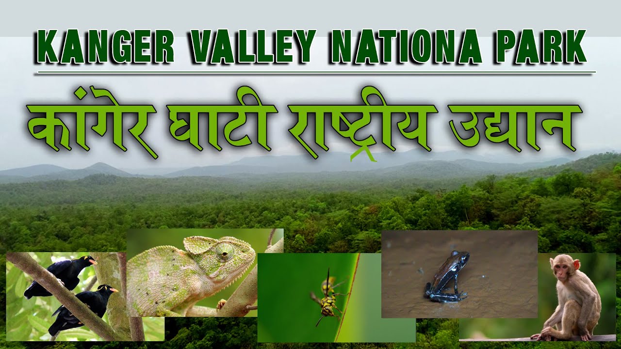 Kanger Valley National Park (कांगेर घाटी राष्ट्रीय उद्यान)