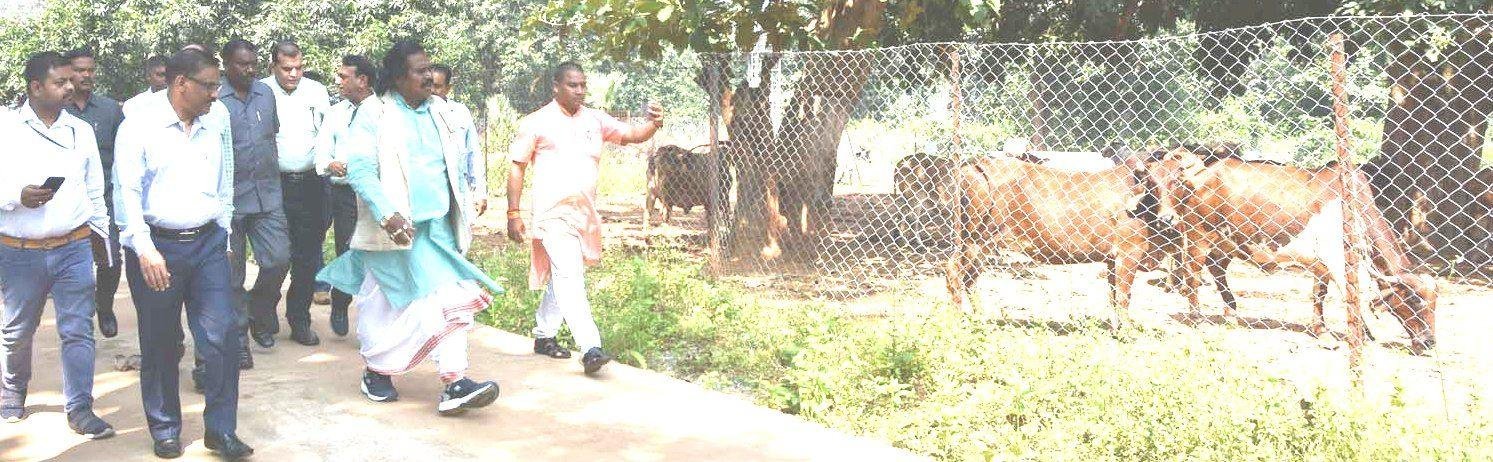 B166D97B031E94619F6CFCBF68FD2030, राष्ट्रीय अनुसूचित जनजाति आयोग के अध्यक्ष नंदकुमार साय और सदस्यों ने दंतेश्वरी गौ संवर्धन एवं शोध केन्द्र टेकनार का अवलोकन किया