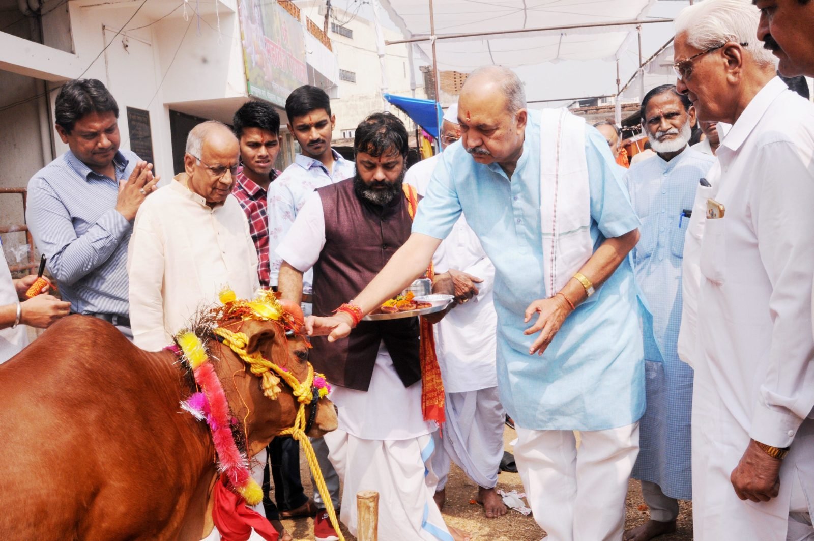 गौ संवर्धन और संरक्षण छत्तीसगढ़ की संस्कृति का महत्वपूर्ण हिस्सा