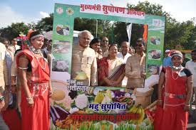 download (3), नारायणपुर जिला जल्द ही कुपोषण मुक्त होगा, प्रशासन का दावा दस महीने में कुपोषण दर में आयी कमी