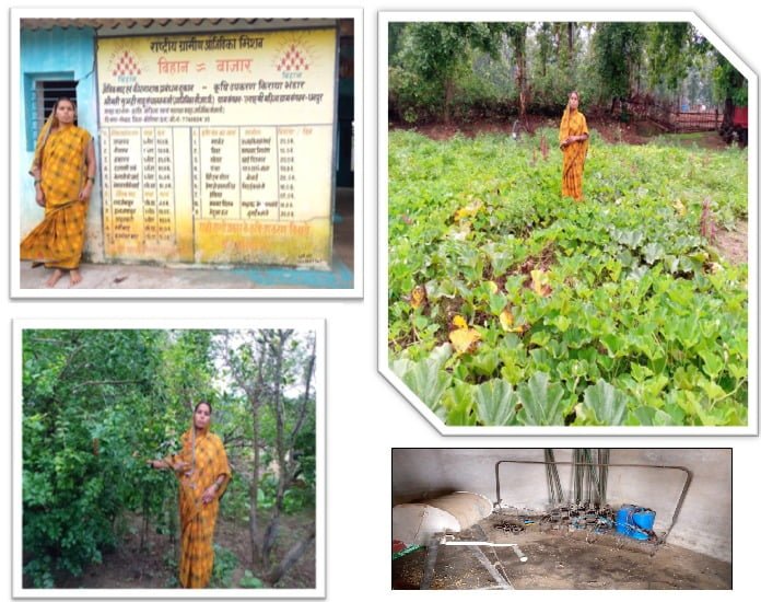 कोरिया : क्रांति महिला स्व सहायता समूह की कृषि सखी सुभद्री ने जैविक बाडी को बनाया अपने आजीविका का आधार, अब तक 50 हज़ार से अधिक का मिला लाभ