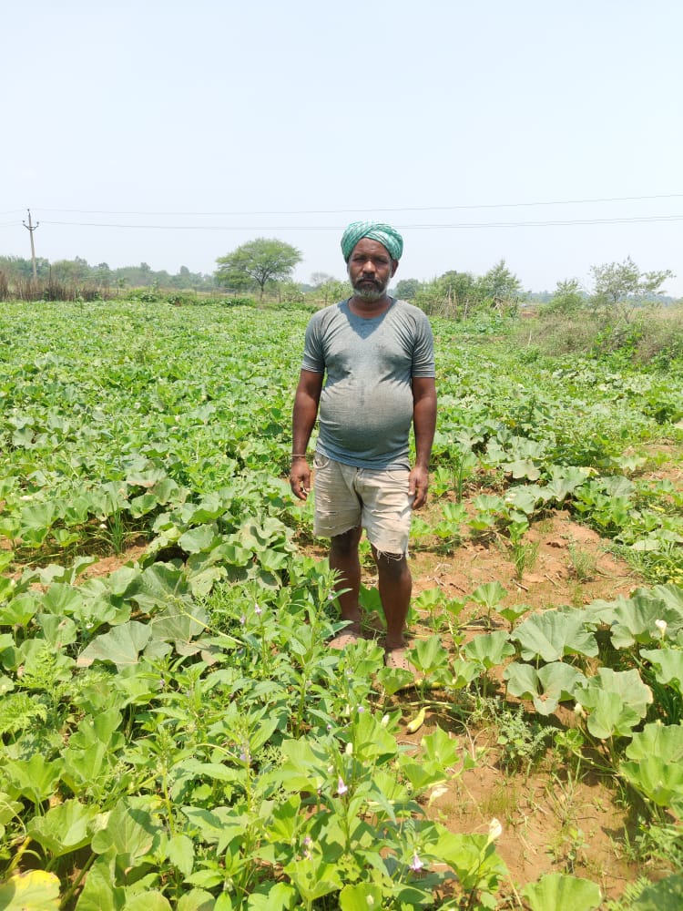 खरीफ खेती की तैयारी के लिए मददगार होगा न्याय योजना की पहली किश्त-किसान राजेश