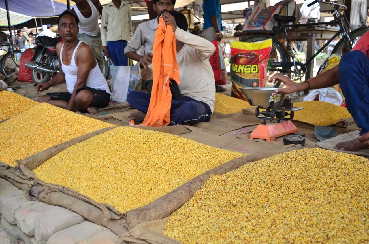 pulses-dal
