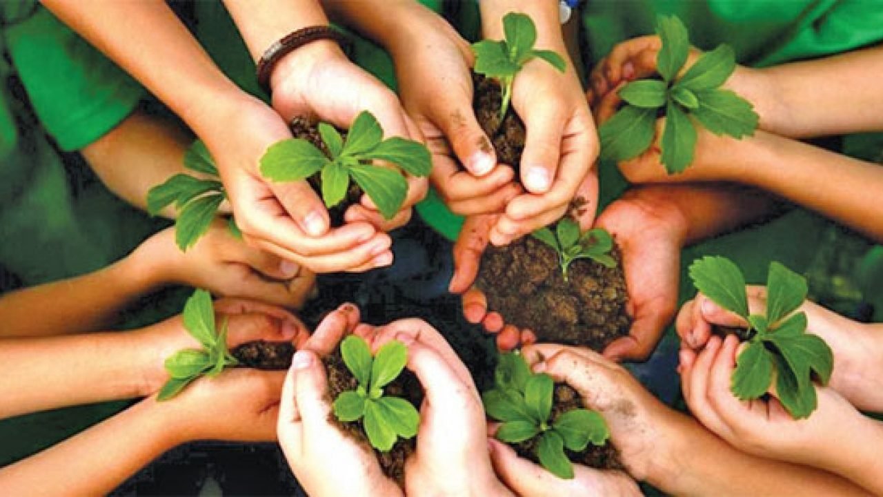 वृक्षारोपण प्रोत्साहन योजना Tree Plantation