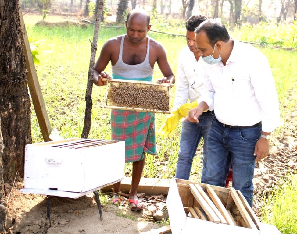 सुकमा : लैखन और लच्छु मधुमक्खी पालन से कमाएंगे मुनाफा