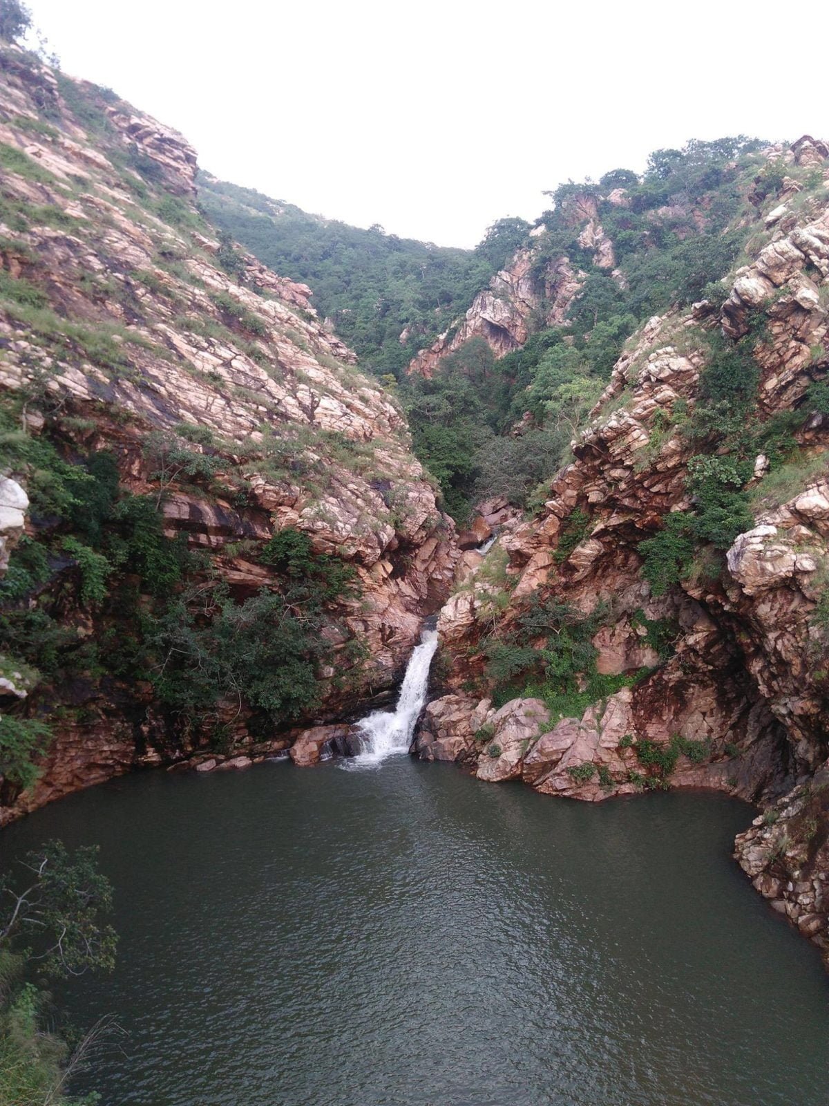 Damau Dhara (दमाऊ धारा), Janjgir–Champa