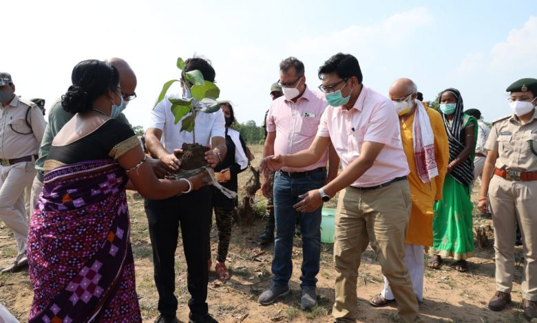 रायगढ़: मुख्यमंत्री वृक्षारोपण प्रोत्साहन योजना के तहत भिखारीमाल में हुआ वृक्षारोपण : कलेक्टर श्री भीम सिंह ने लगाया बेहड़ा का पौधा
