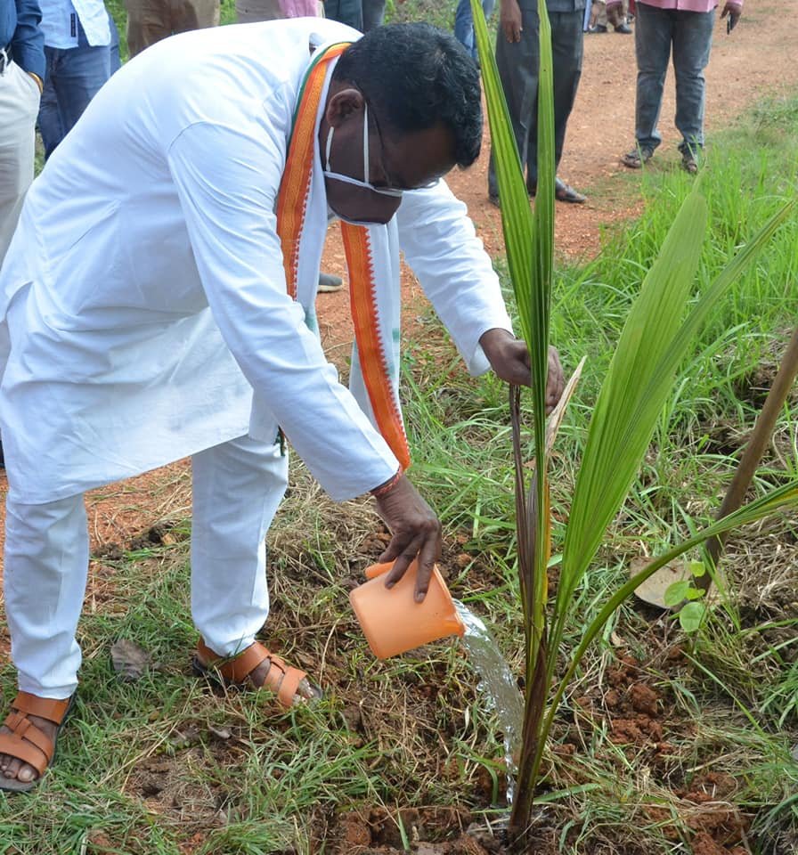 विश्व पर्यावरण दिवस के उपलक्ष्य में जिले में पौधारोपण अभियान का शुभारंभ