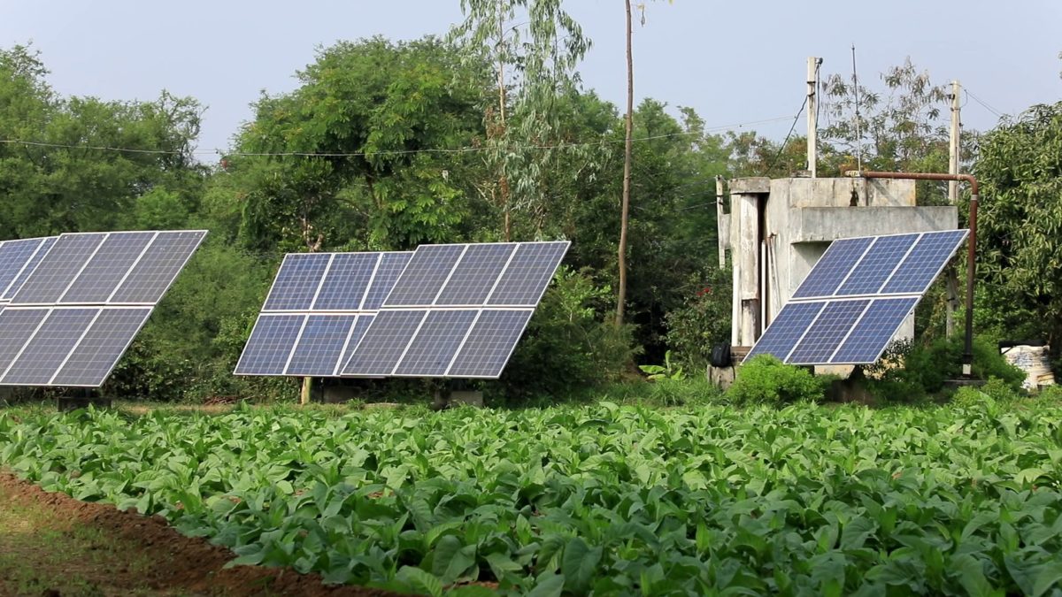Solar Pump Agriculture