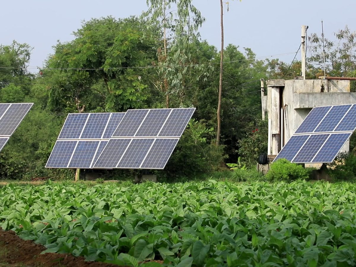 Solar Pump Agriculture