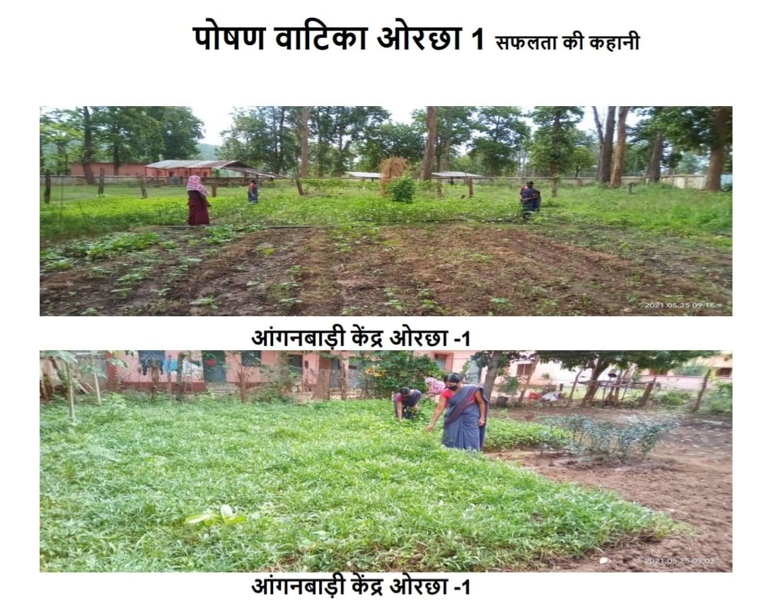 अबुझमाढ़ की आंगनबाड़ियों में माताओं के सहयोग से तैयार हुई पोषण वाटिकाएं