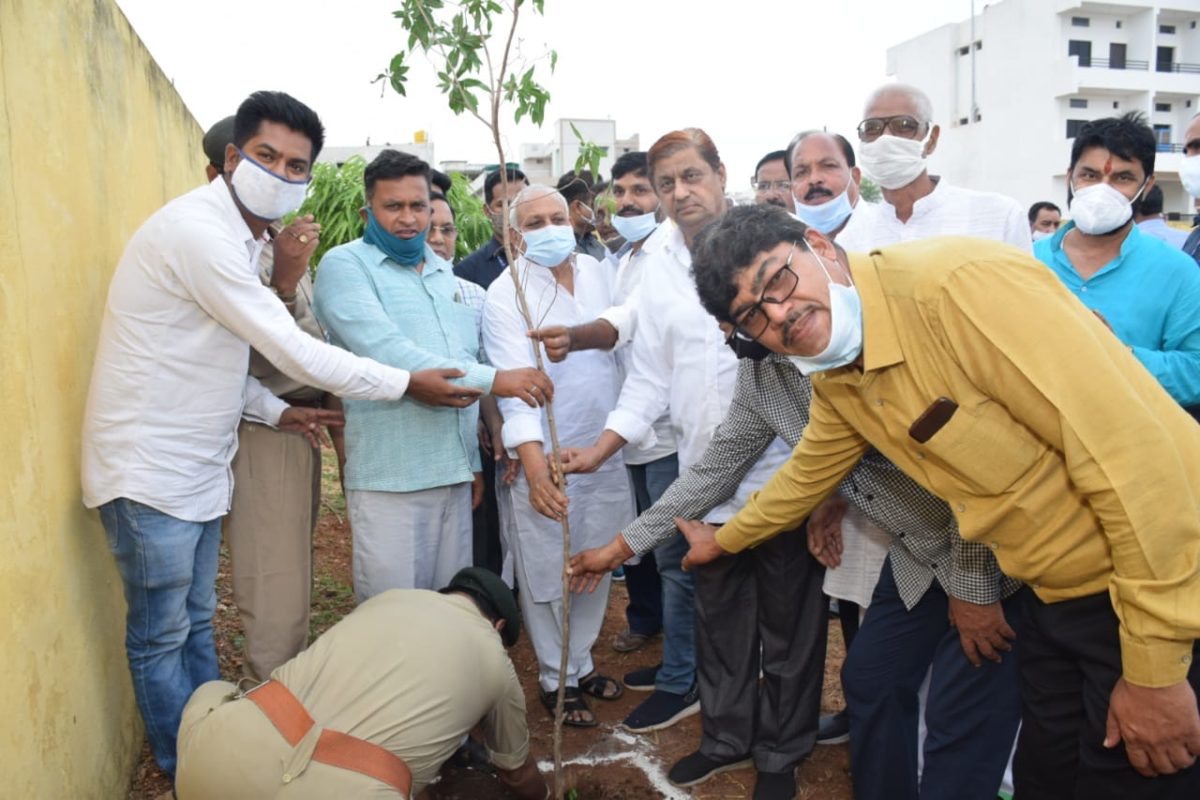 रायपुर : वन मंत्री श्री अकबर ने कवर्धा वनमंडल में किया पौधरोपण