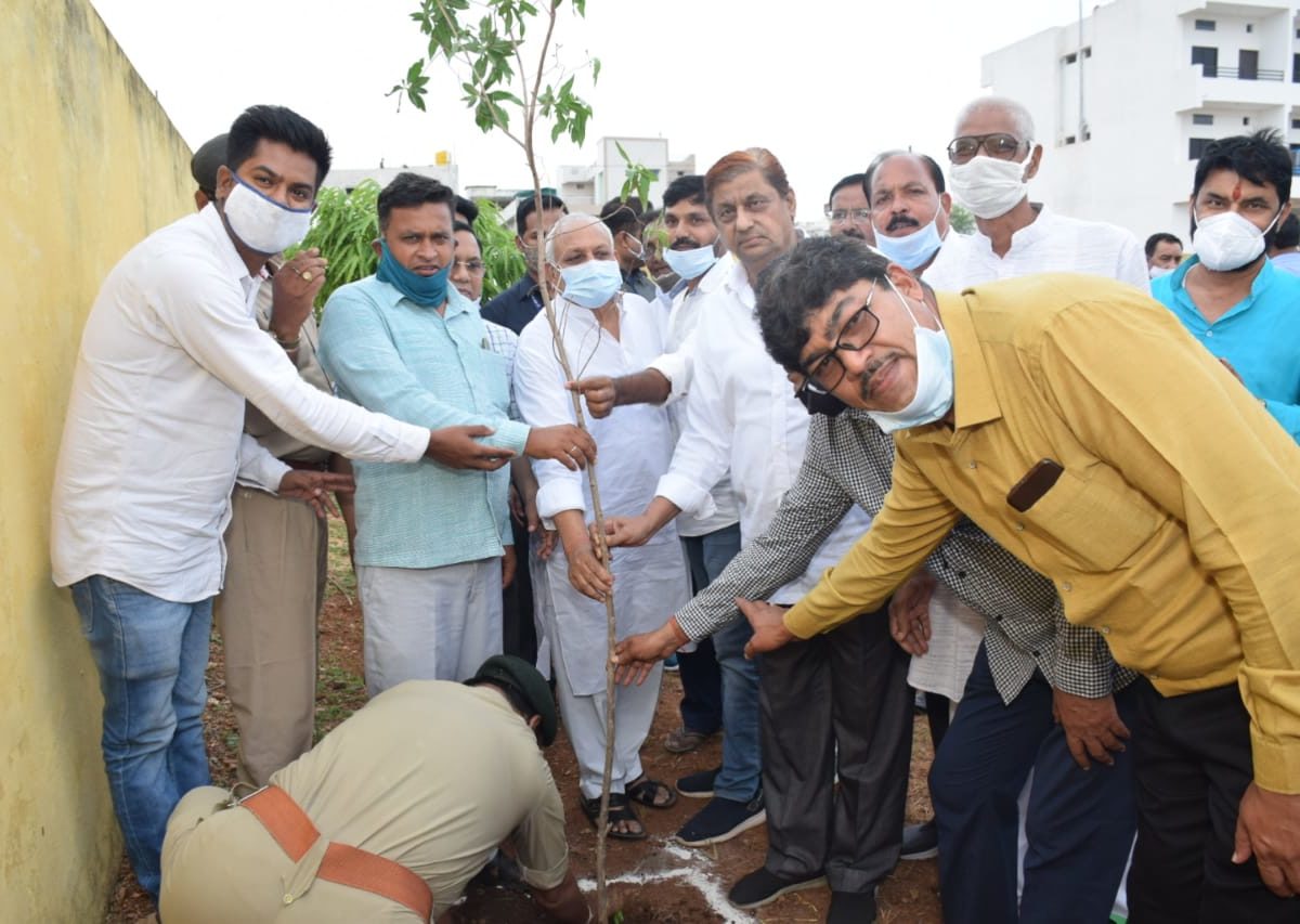 रायपुर : वन मंत्री श्री अकबर ने कवर्धा वनमंडल में किया पौधरोपण