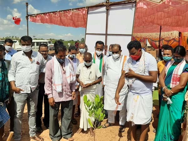जगदलपुर: बकावंड में वन प्रबंधन समिति ने लगाए काजू और सीताफल के पौधे