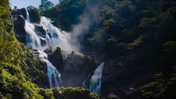 Danpuri Waterfall (दानपुरी झरना), Jashpur