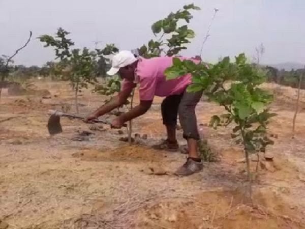 वीरेंद्र सिंह: छत्तीसगढ़ के WaterHero