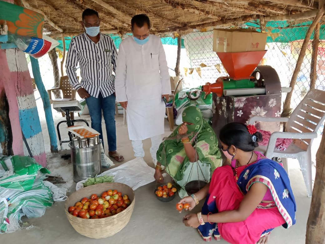 ‘‘बिहान योजना’’ ने बदली महिलाओं की जिंदगी गौठान ग्राम नवागांव भावगीर के महिलाएं सब्जी एवं वर्मी कम्पोस्ट उत्पादन से बन रही आत्मनिर्भर