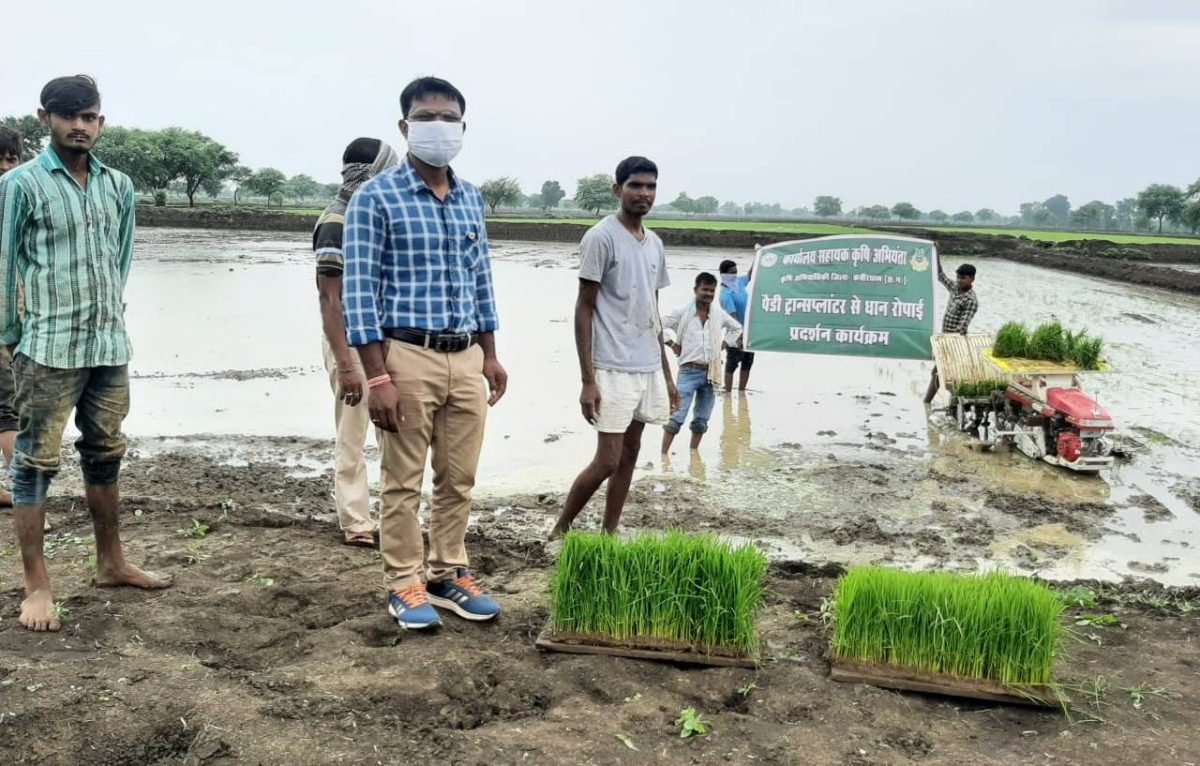 रायपुर: पैडी ट्रांसप्लाॅटर मशीन से धान रोपाई के लिए
