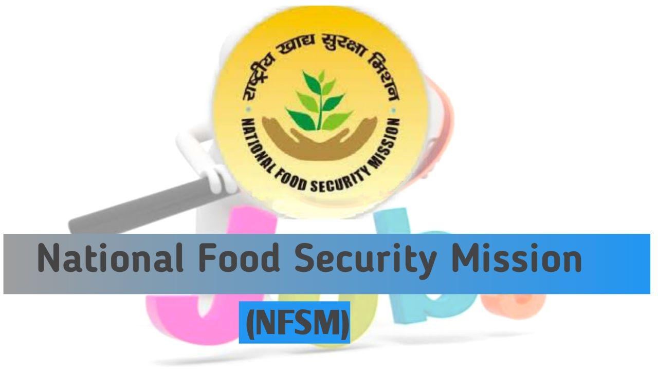 national-food-secrity-mission-nfsm