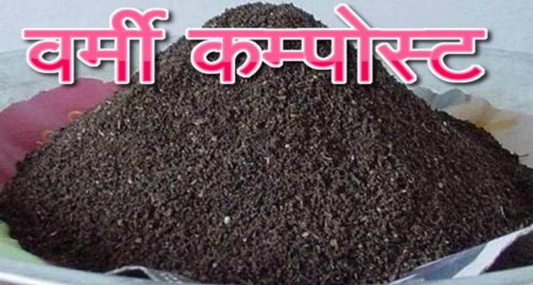वर्मी खाद Vermi Compost