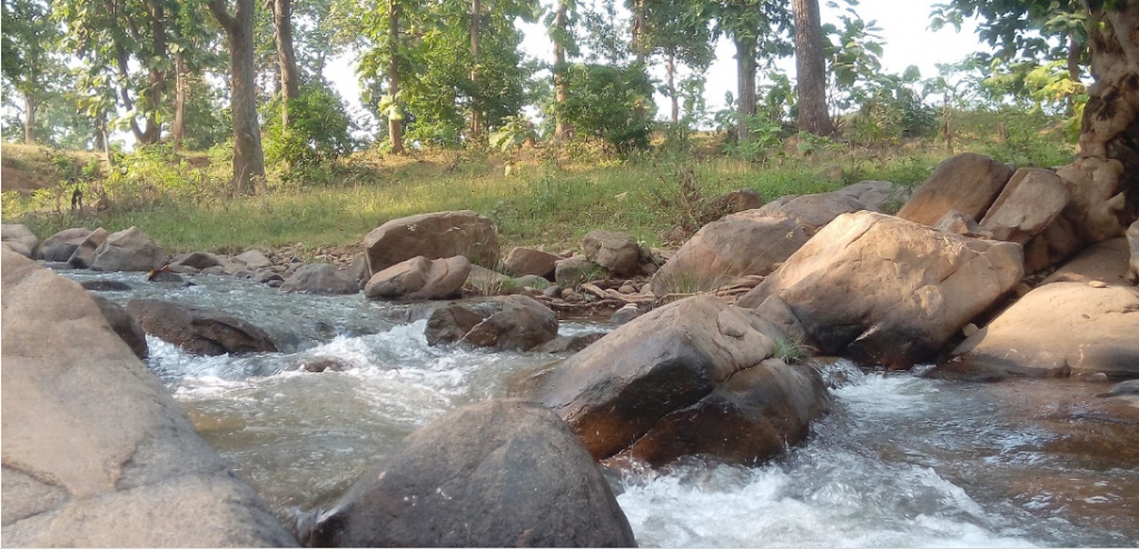 खारा रिज़र्व वन (Khaara Reserve Forest, Rajnandgaon