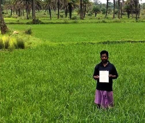 नारायणपुर जिले में 5737 हितग्राहियों को मिला वनाधिकार पट्टा