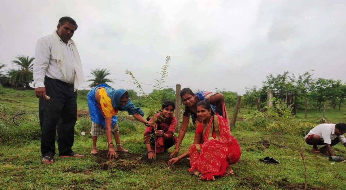 ग्रामवासियों ने स्वप्रेरणा से चारागाह में श्रमदान करते हुए पौधे लगाए