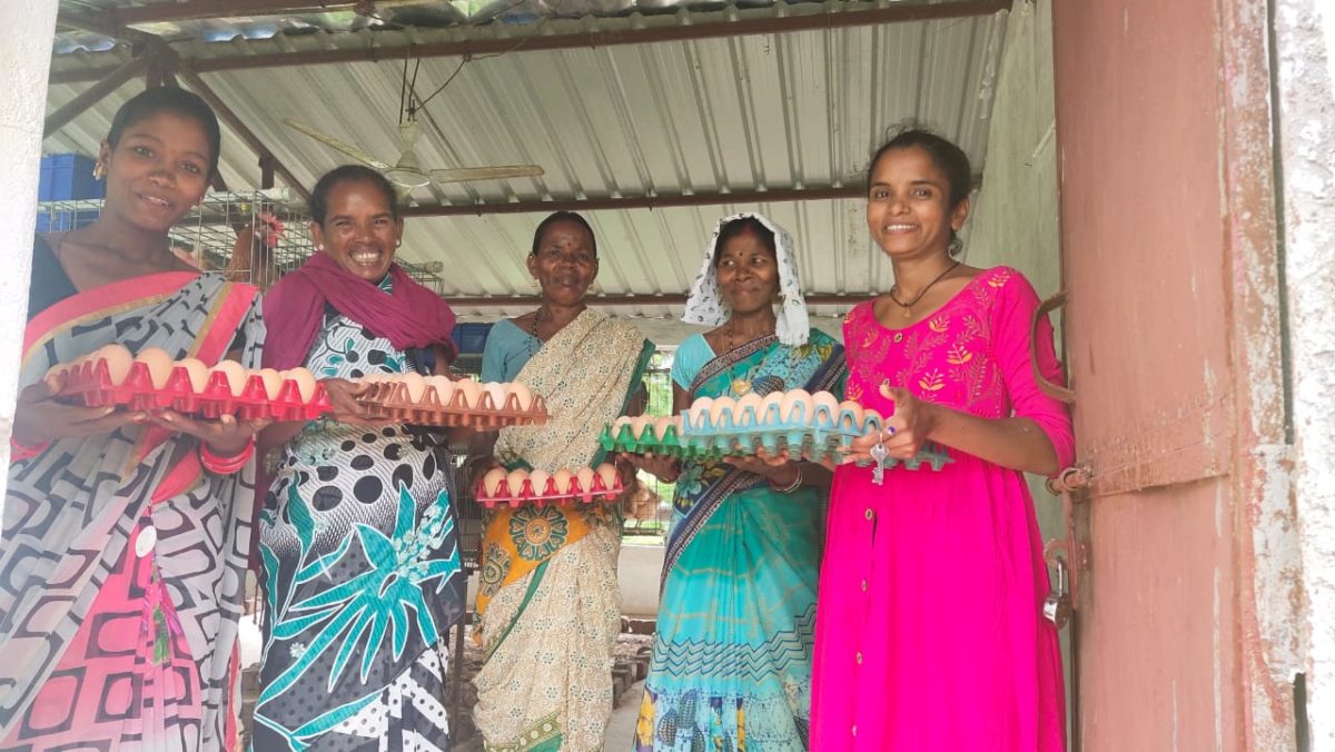 बीजापुर : अण्डा उत्पादन बना महिला सशक्तिकरण का आधार