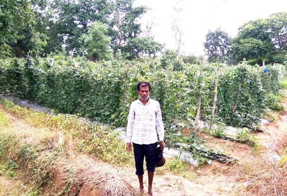 आधुनिक पद्धति से सब्जी की खेती नेे खोली समृद्धि की राह