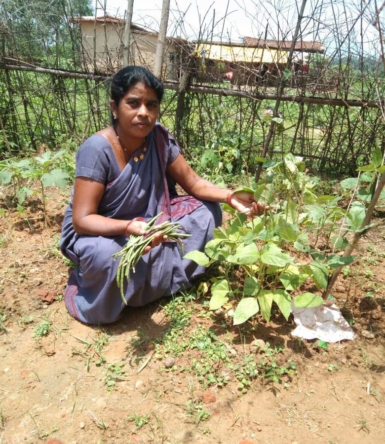 पोषण वाटिका से हो रहा पोषण का प्रसार