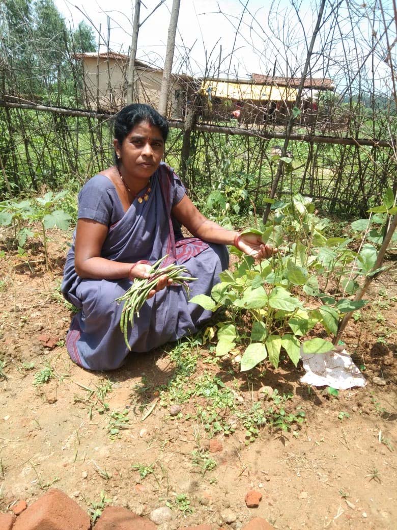 पोषण वाटिका से हो रहा पोषण का प्रसार