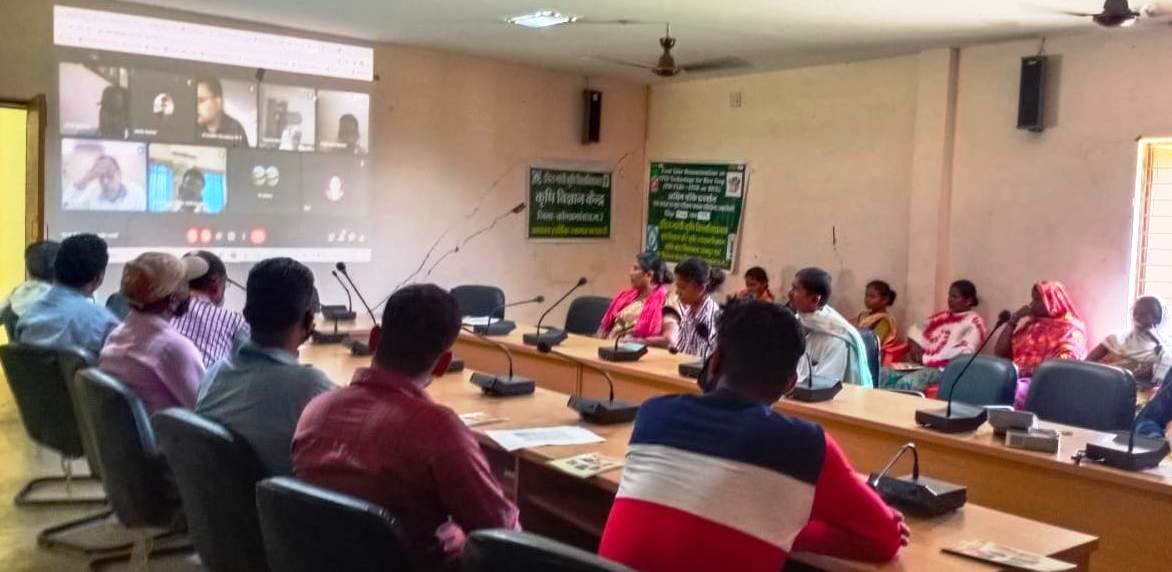 रायपुर : वर्मी कम्पोस्ट का उपयोग बढ़ाने पर जोर दिया कृषि वैज्ञानिकों ने  कृषि विश्वविद्यालय में ई-गोष्ठी का आयोजन