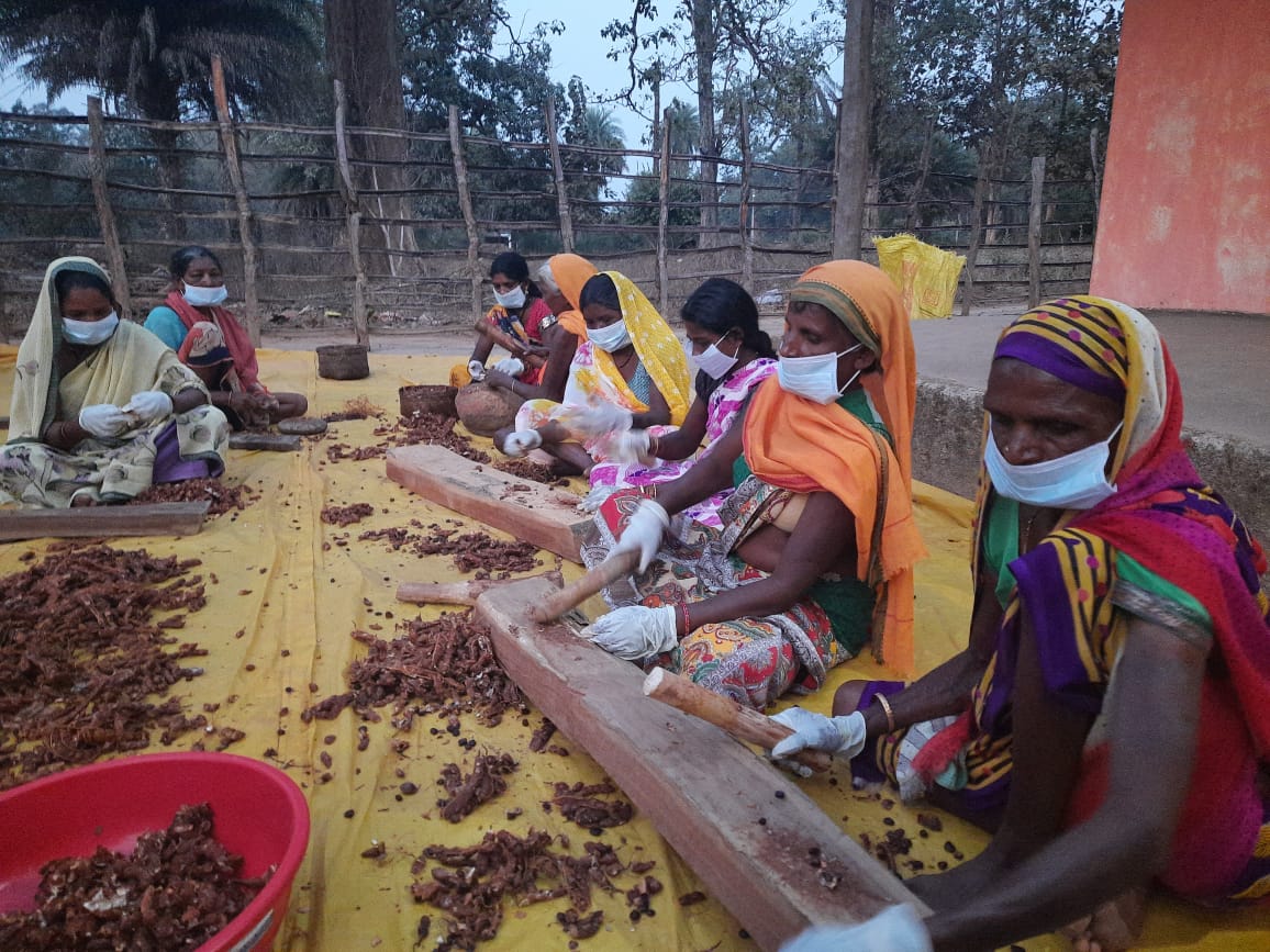 रायपुर :  लघु वनोपज संग्रहण: राज्य में वर्ष 2020-21 में 3 करोड़ मानव दिवस का रोजगार :  आदिवासी-वनवासी संग्राहकों को 600 करोड़ रूपए के पारिश्रमिक का भुगतान