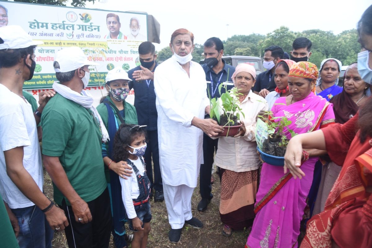 रायपुर :  वन मंत्री श्री मोहम्मद अकबर ने अंजोरा में किया पौधारोपण एवं पौध वितरण