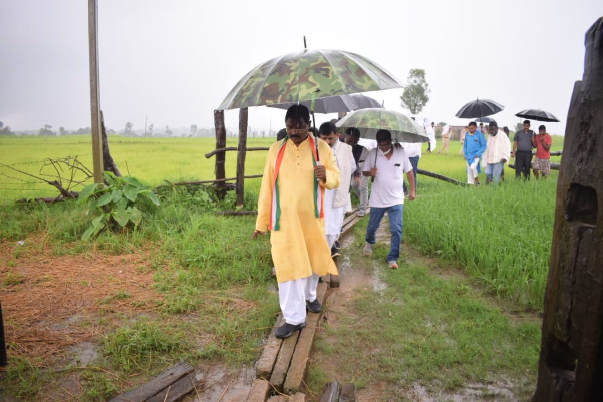 रायपुर :  बरसते पानी में पगडंडियों पर चलकर हाथी से प्रभावितों के बीच पहुंचे खाद्य मंत्री श्री अमरजीत भगत