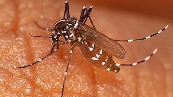 बुखार आने पर तुरंत निकट के स्वास्थ्य केन्द्र में कराएं जांच