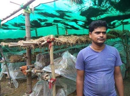 रायगढ़ : मशरूम उत्पादन से ललित को मिली तरक्की की राह