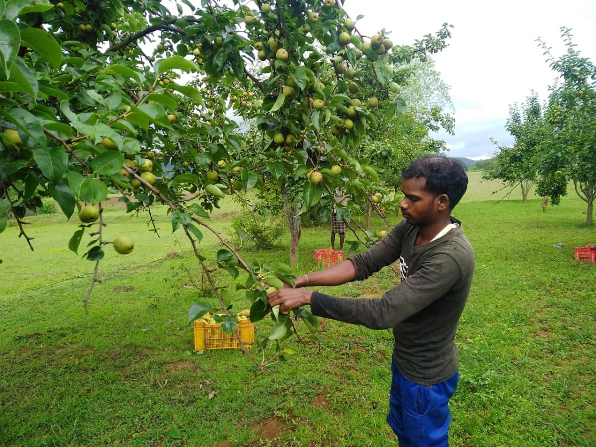 किसान आर्थिक उन्नति की ओर हो रहें अग्रसर