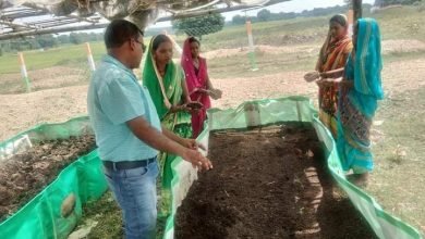 मल्टी एक्टिविटी कर दुर्गा महिला स्वयं सहायता समूह की महिलाएं हो रही सशक्त