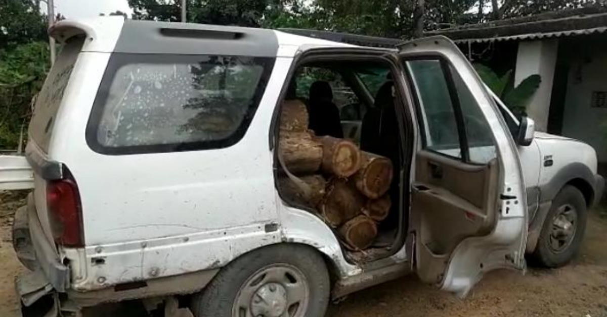 जंगल में पेड़ों की अवैध कटाई, सागौन से भरी गाड़ी पकड़ाई
