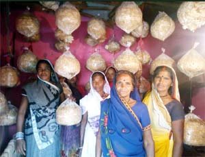 महिला स्व-सहायता समूहों ने कमाए हजारों रूपए