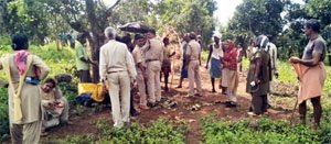 पण्डो के घर तोड़ने की खबर को वन विभाग ने बताया निराधार