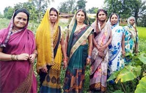भिंडी, बैंगन की सामूहिक खेती कर जानकी समूह की दीदियां कमा रही आजीविका