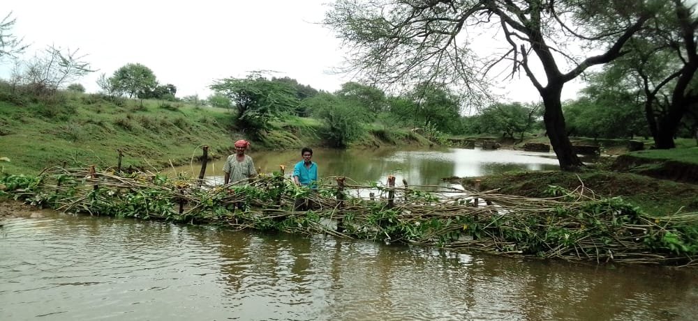 ये है ब्रशवुड, बिना लागत भूमिगत जल के रिचार्ज का बेहतरीन उदाहरण