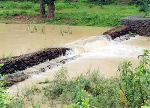 नरवा विकास कार्य से सजीव हुआ जोरान नाला