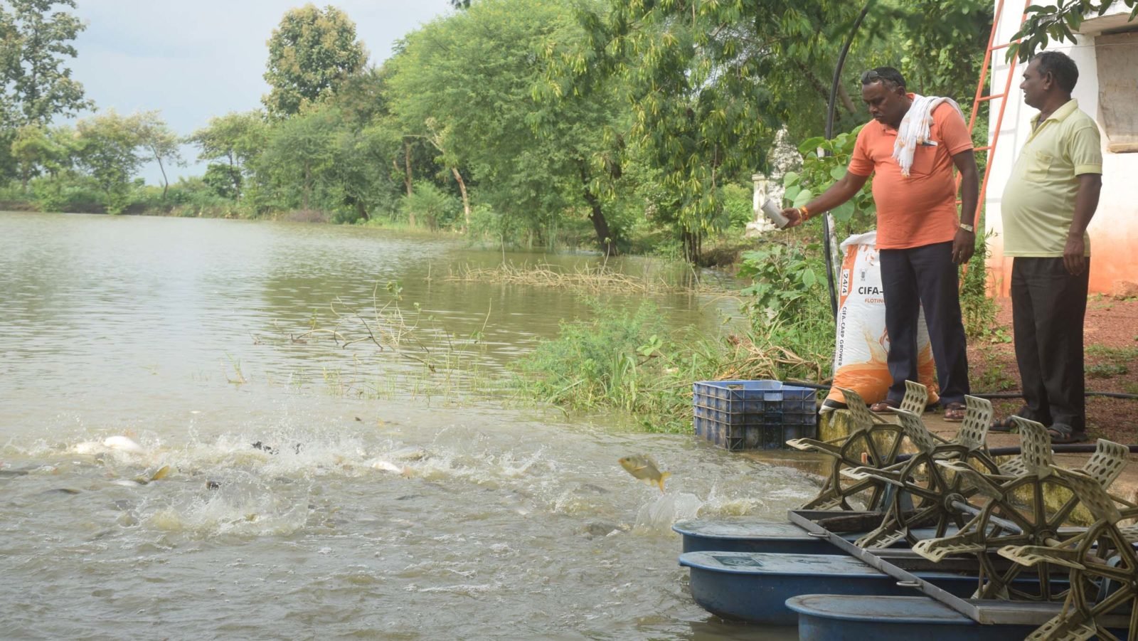 राजनांदगांव  : सुरजू ढीमर ने मत्स्यपालन के माध्यम से समृद्धि की दिशा में बढ़ाए कदम