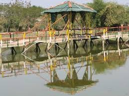 बिलासा उद्यान के ताल में नजर आएंगी रंगीन मछलियां