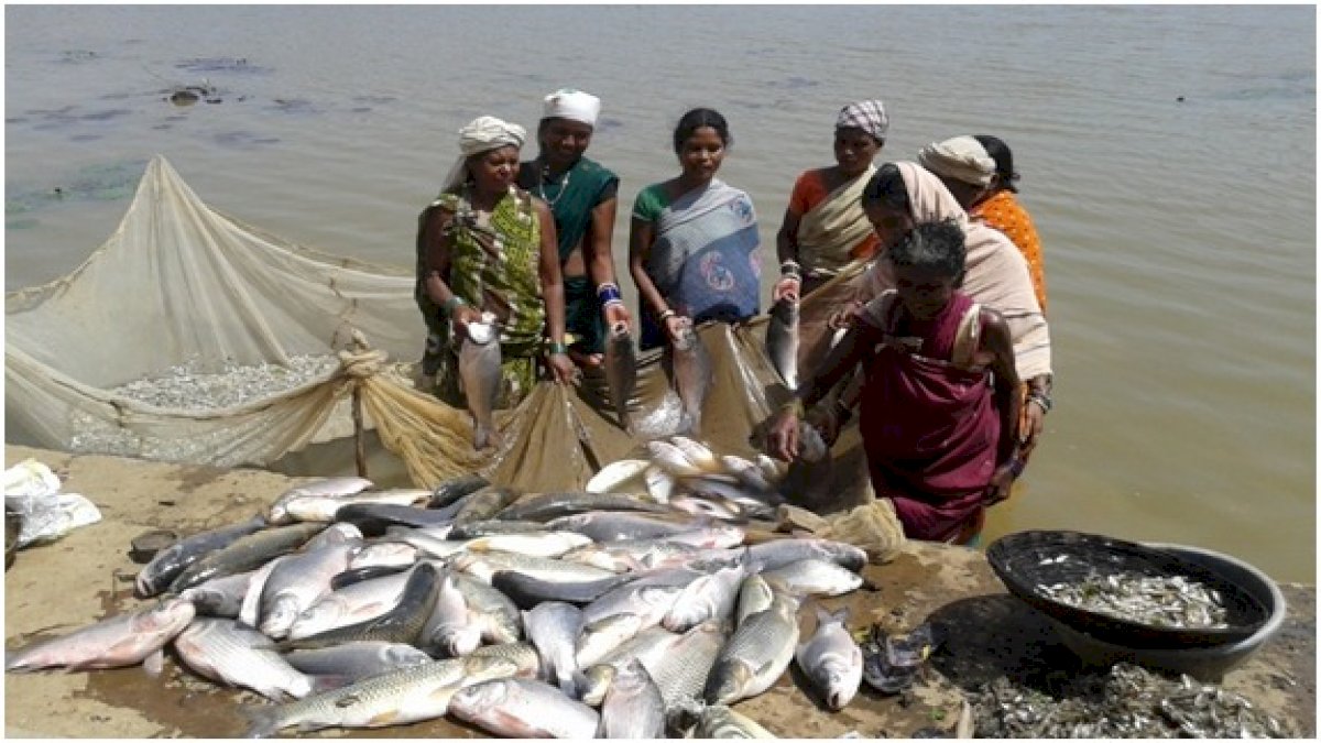 मछली पालन को कृषि का दर्जा, मत्स्य किसानों को मिलेगा पानी बिजली फ्री