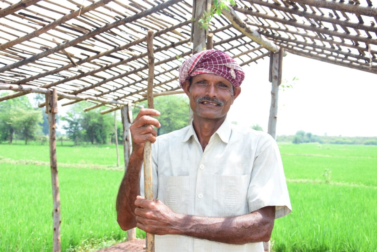 दुर्ग : धमधा में सिंचाई क्रांति, सिंचिंत रकबा दो सालों के भीतर ही 70 फीसदी बढ़ गया : -पिछले दो सालों में बने माइनर टैंक, डायवर्सन के माध्यम से खेतों को मिली अमृत वर्षा