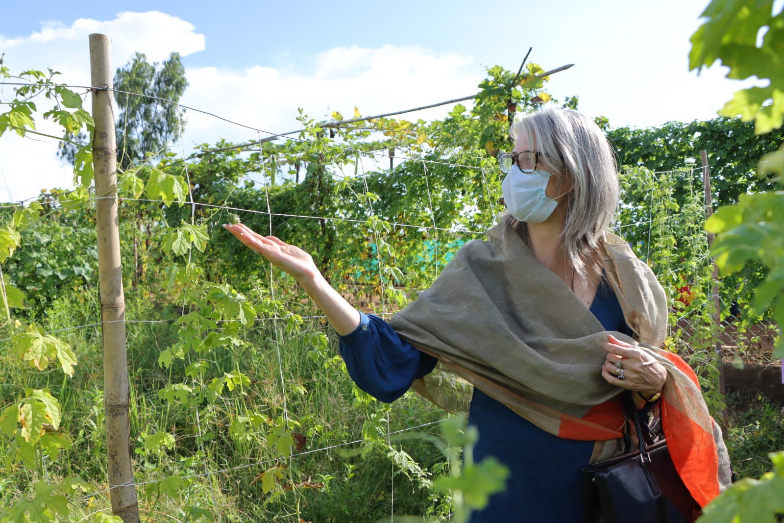 रायपुर : ऑस्ट्रेलियन काउंसेल जनरल सुश्री रोवन एन्सवर्थ ने गौठान की व्यवस्था और वहां की गतिविधियों को सराहा